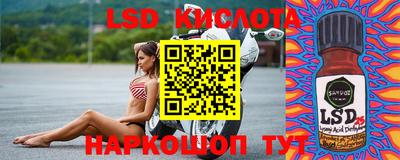 СК Владивосток