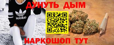 СК Владивосток