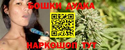 СК Владивосток