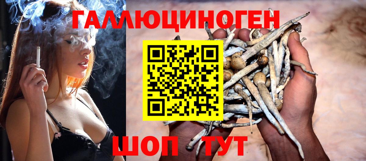 Артёмовский  Псилоцибиновые грибы MAGIC MUSHROOMS  купить наркотики цена  Вход с VPN 