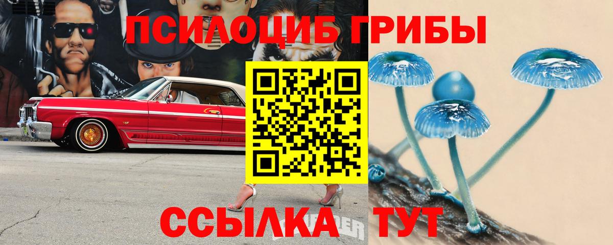 Псилоцибиновые грибы ЛСД Артёмовский